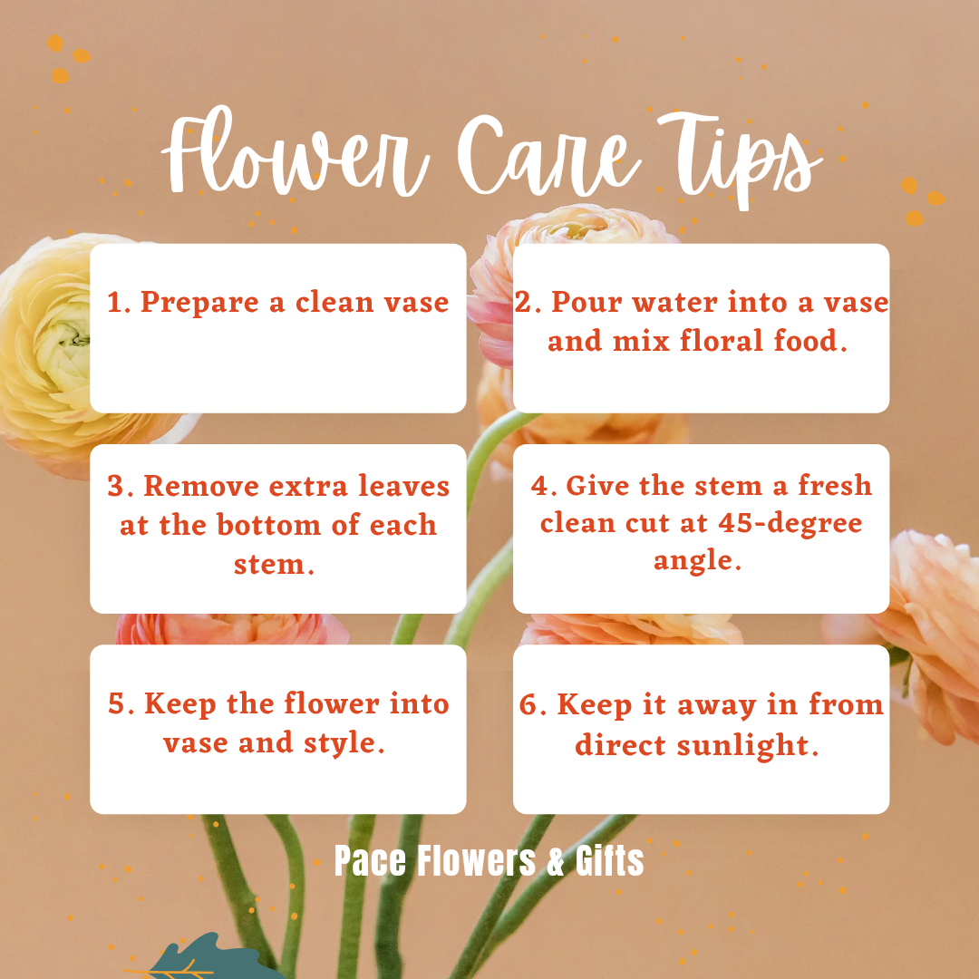 Fresh Cut Flowers Care Tips Pace Flowers & Gifts